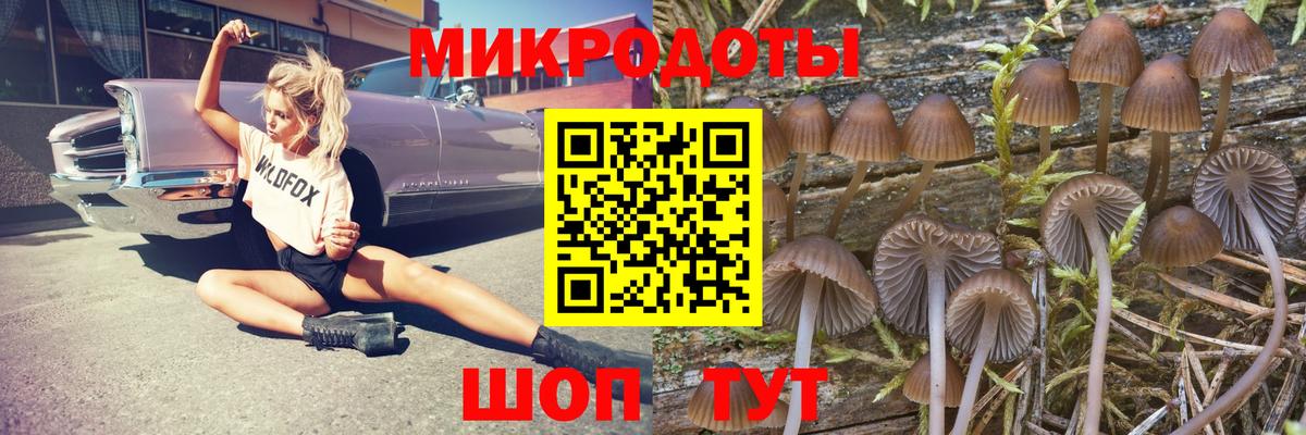 Кызыл  Псилоцибиновые грибы ЛСД  Вход с VPN 
