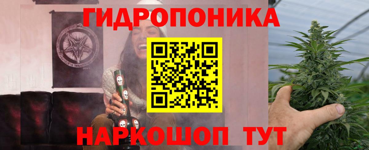 Конопля семена  Бошки марихуана LSD WEED  Канабис гибрид  Кызыл  Вход с VPN 